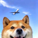 誓言