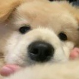暗涌
