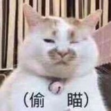 皮蛋solo粥
