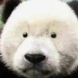 白卷三生