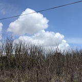 kumokun