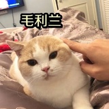 春律者