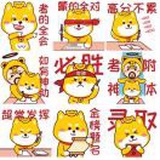 正义的条子