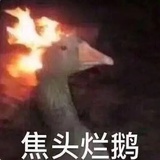 今天乐呵了吗