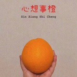 心想事橙