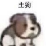 土鸡