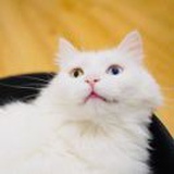 啦啦啦啦