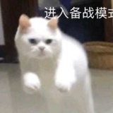 痣明打村娇