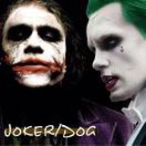 不是joker就是🐶