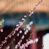 那片海_是你