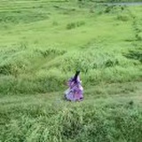 南