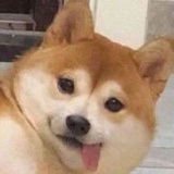 白日绮梦_