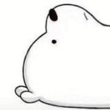 豆子哈