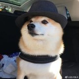 淤青肥团