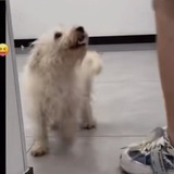不拆