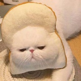 第二十二个黄昏