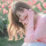 等风吹