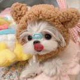Cherish