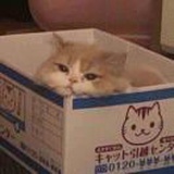 姜休眠了
