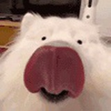 陆一深