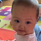 陈苏红