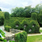 种花种草种太阳