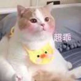 天很懒