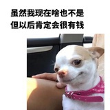 AKA黄礼志