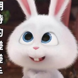 糖心包子
