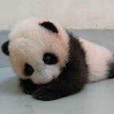 拔剑长歌