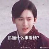 柑橘栀子花