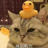 琳达小屋