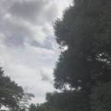 泉