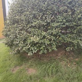 哈哈哈哈哈哈哈