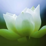一念