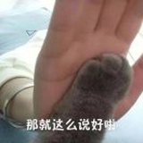 鸱枭是个无情的