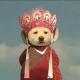 一炮四个pdd