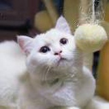 莉莉安