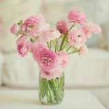 春花秋月