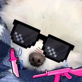 猪大哥（黑化）