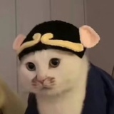 文俊辉