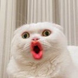 我是一朵奇葩