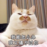 洁厕灵