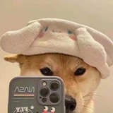 nflying—徐英浩