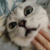 叶子姐