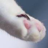 沉于深海