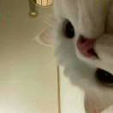 小华