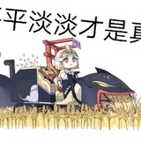 踩刹车