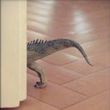 小嗝嗝©