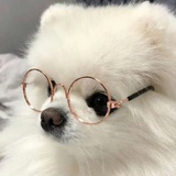 早睡大王